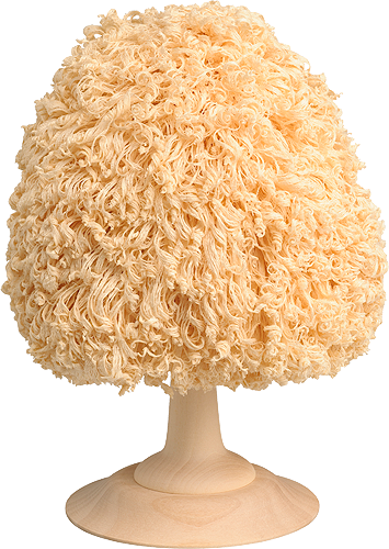 Loofboom, onbeschilderd