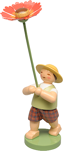 Jongen met zonnekruid